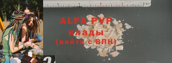 стафф Алзамай