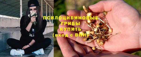 a pvp Аркадак