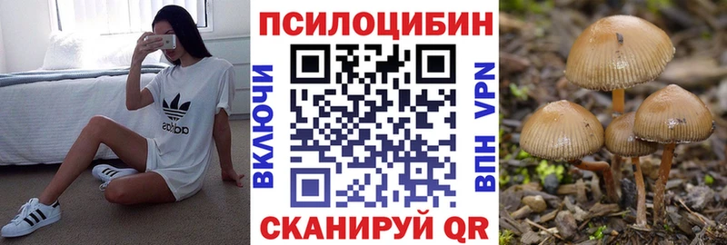 купить наркоту  Бологое  ссылка на мегу ссылка  Галлюциногенные грибы GOLDEN TEACHER 
